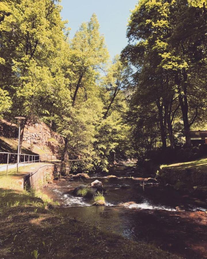 Apartament Schwarzwald Maedl Bad Wildbad Zewnętrze zdjęcie